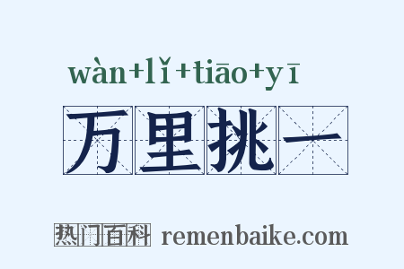 万里挑一是什么意思的图片